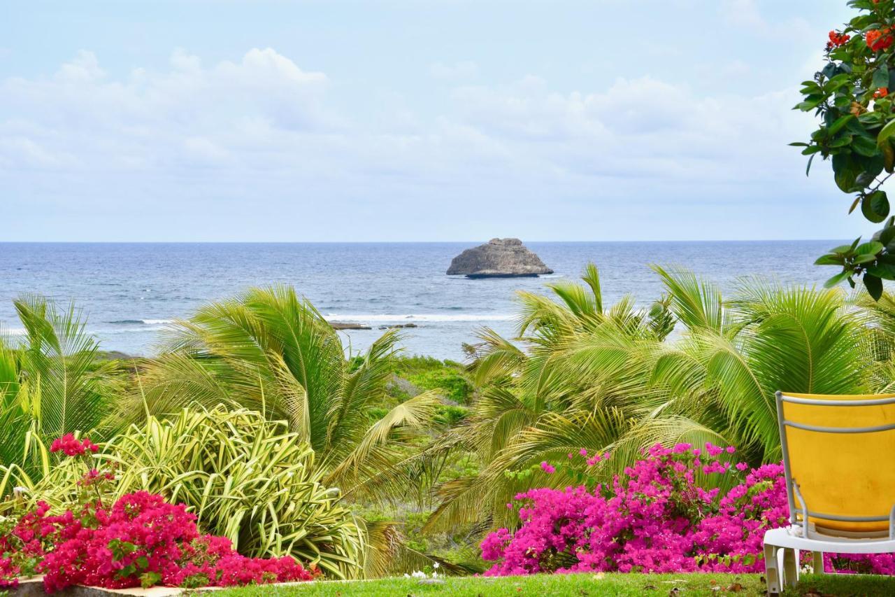 Villa Guadeloupe Saint Francois Acces Mer Piscine Iguana Bay - Villa Zagadi Luaran gambar