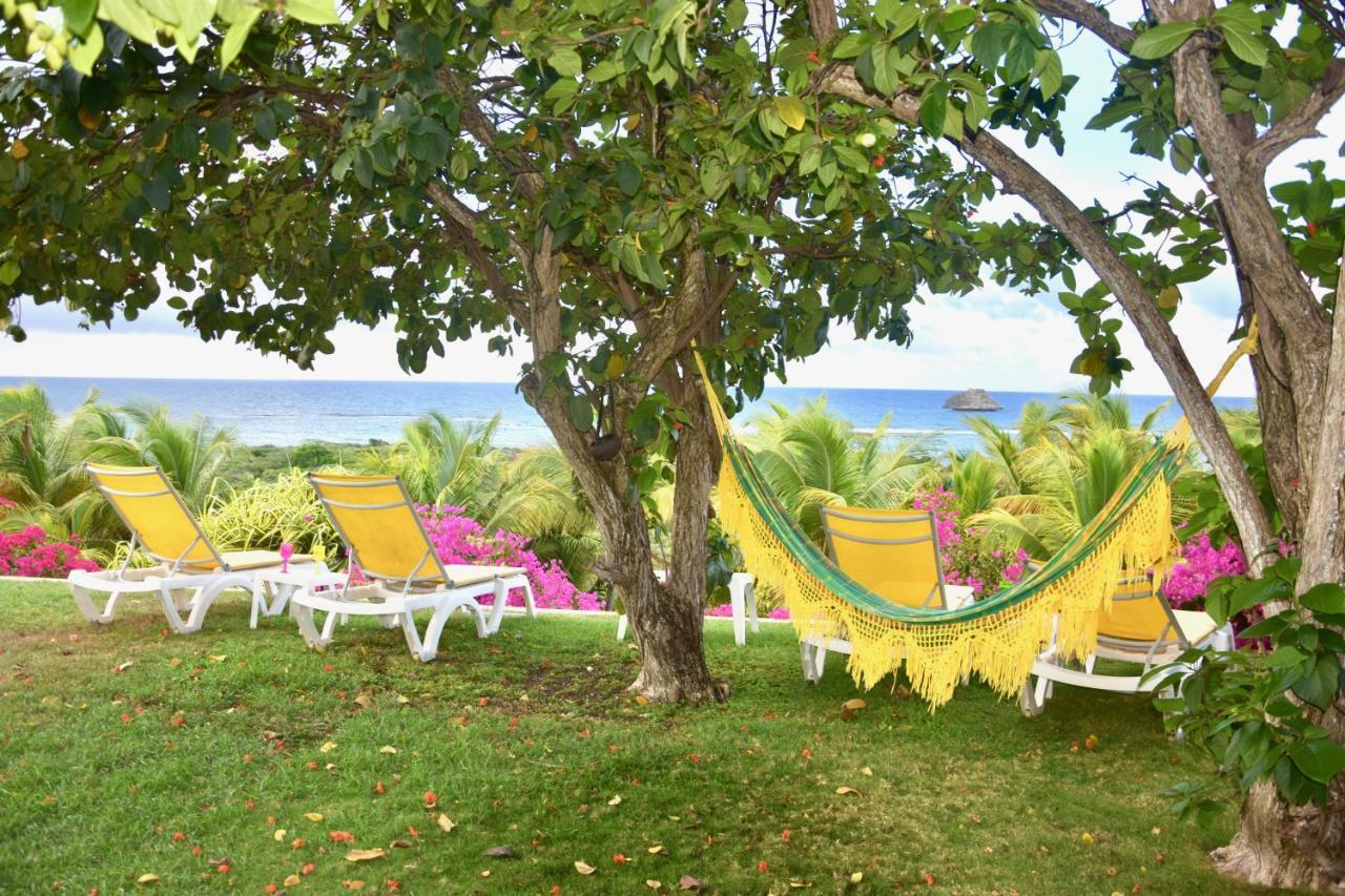 Villa Guadeloupe Saint Francois Acces Mer Piscine Iguana Bay - Villa Zagadi Luaran gambar