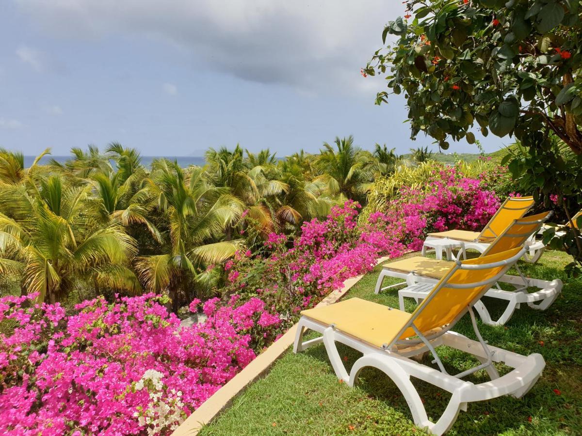 Villa Guadeloupe Saint Francois Acces Mer Piscine Iguana Bay - Villa Zagadi Luaran gambar