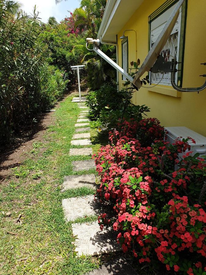 Villa Guadeloupe Saint Francois Acces Mer Piscine Iguana Bay - Villa Zagadi Luaran gambar
