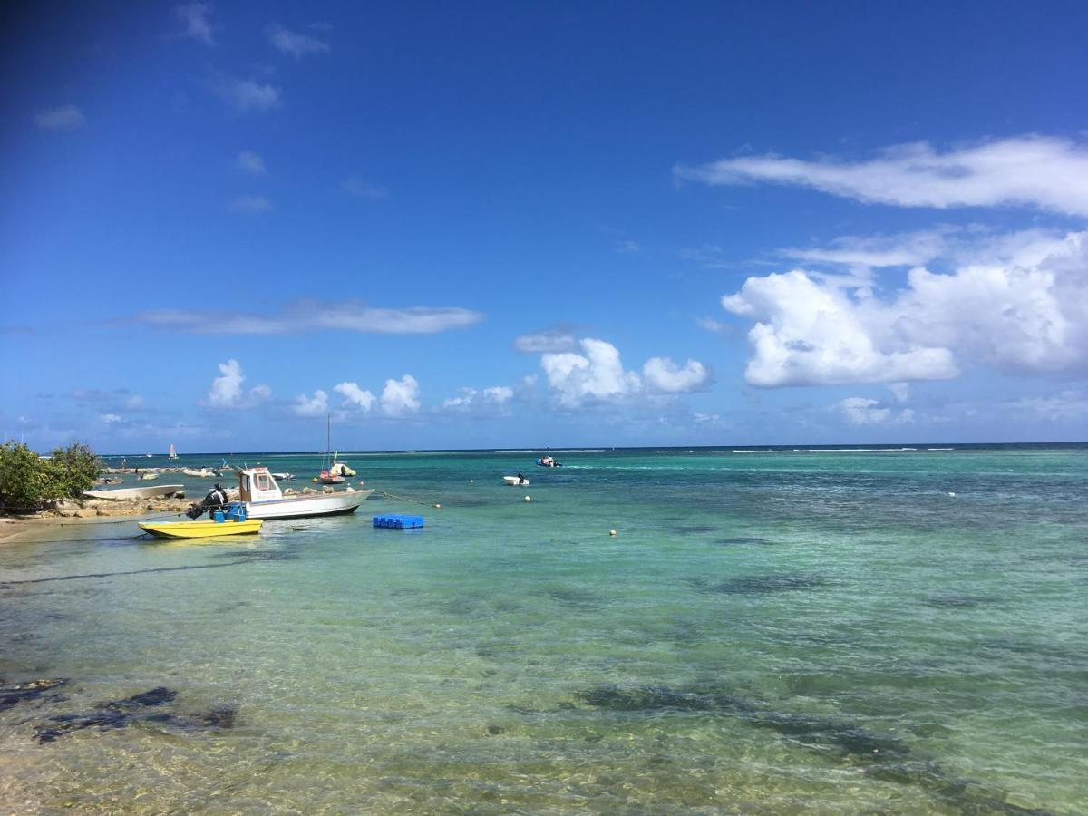 Villa Guadeloupe Saint Francois Acces Mer Piscine Iguana Bay - Villa Zagadi Luaran gambar