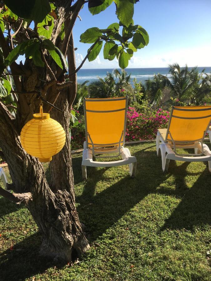 Villa Guadeloupe Saint Francois Acces Mer Piscine Iguana Bay - Villa Zagadi Luaran gambar